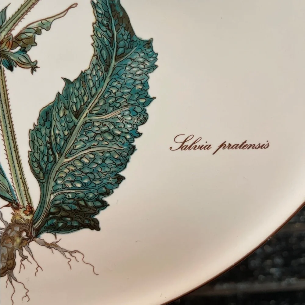 VILLEROY & BOCH Botanica 12